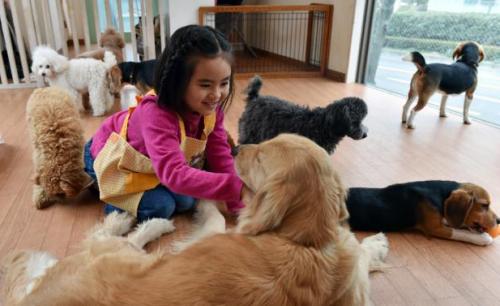 Rino Kakinuma, de siete años, es cliente de la rentadora de perros ya que en casa no puede tener uno por falta de espacio.