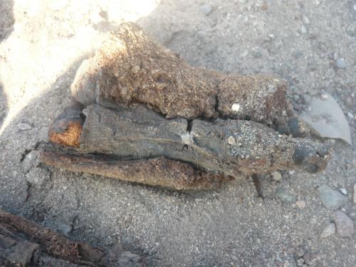 La momia pertenecería a la cultura Chinchorro. (Foto:biobiochile)