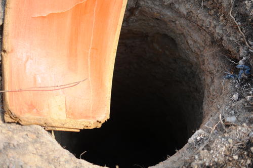 La USAC realizó 13 pozos para analizar la calidad del suelo donde se cimenta el proyecto. (Foto: Alejandro Balán/Soy502)