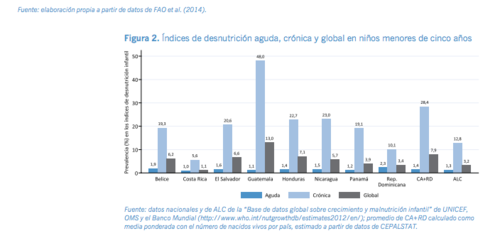 En la gráfica se observan los datos de la desnutrición crónica en cada país. Guatemala muestra los niveles más alarmantes. (Foto: FAO)
