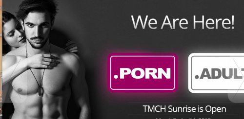 Esta página es la encargada de vender los dominios relacionados con la pornografía. (Foto: Soy502)