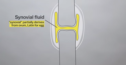 El gas comprimido en el líquido de las articulaciones provoca el característico y molesto sonido. (Foto: Vox.com)