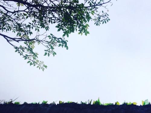 Las personas ven las medidas de seguridad en su hogar como algo normal. (Foto: Dinora de Posadas)