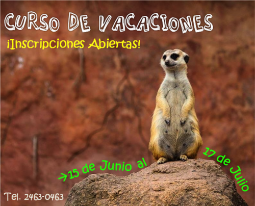 Las inscripciones para el Curso de Vacaciones en el Zoo La Aurora está disponibles. (Foto: Zoo La Aurora)