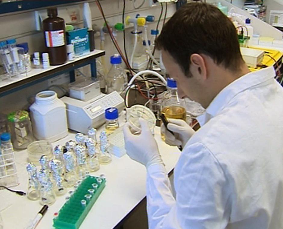 La comunidad científica está preparada para dar un paso más con estas nuevas donaciones. (Foto: EFE)