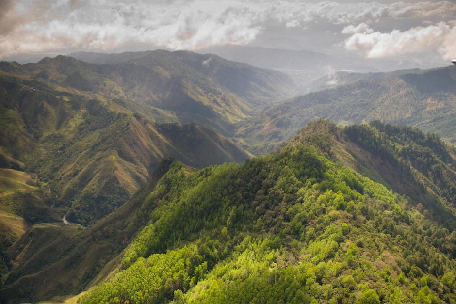 El principal riesgo se concentra en los bosques de la Sierra de las Minas. (Foto: Wild File Photo)