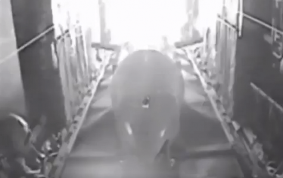 La Fuerza Aérea de Estados Unidos publicó una grabación que muestra el ensayo de un lanzamiento de su bomba no nuclear más poderosa. (Foto: actualidad.rt.com)