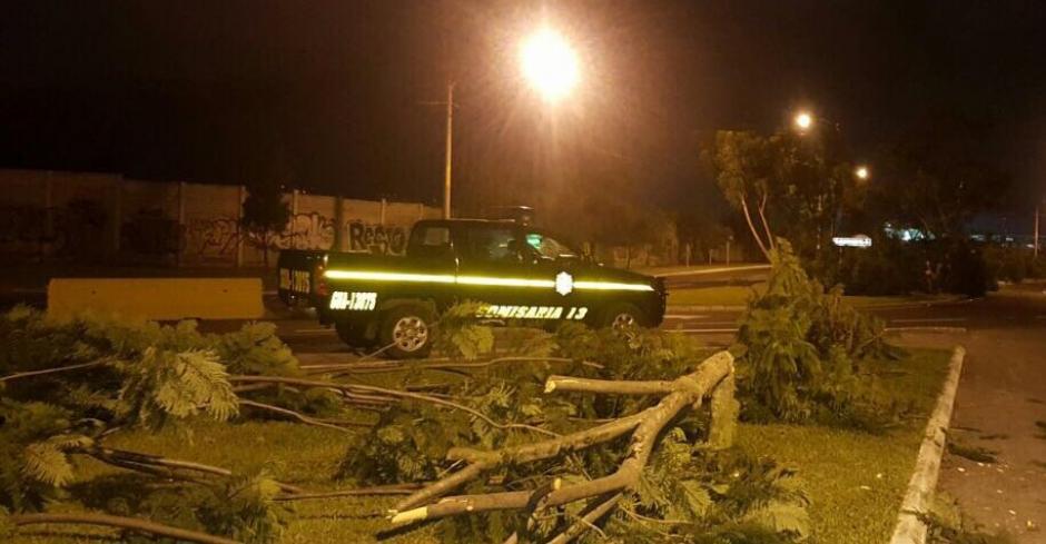 La PNC arrestó a varias personas que fueron sorprendidas cortando los árboles del arriate central del bulevar Juan Pablo II. (Foto: Jesús Alfonso/Soy502) 