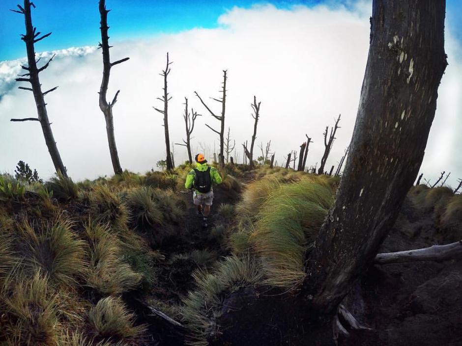 Hacer deporte a campo traviesa, en este caso en el volcán Acatenango, nos acerca a la Naturaleza. (Foto: José Jorge Ubico Koose/Cortesía Facebook Andrés Fonseca)