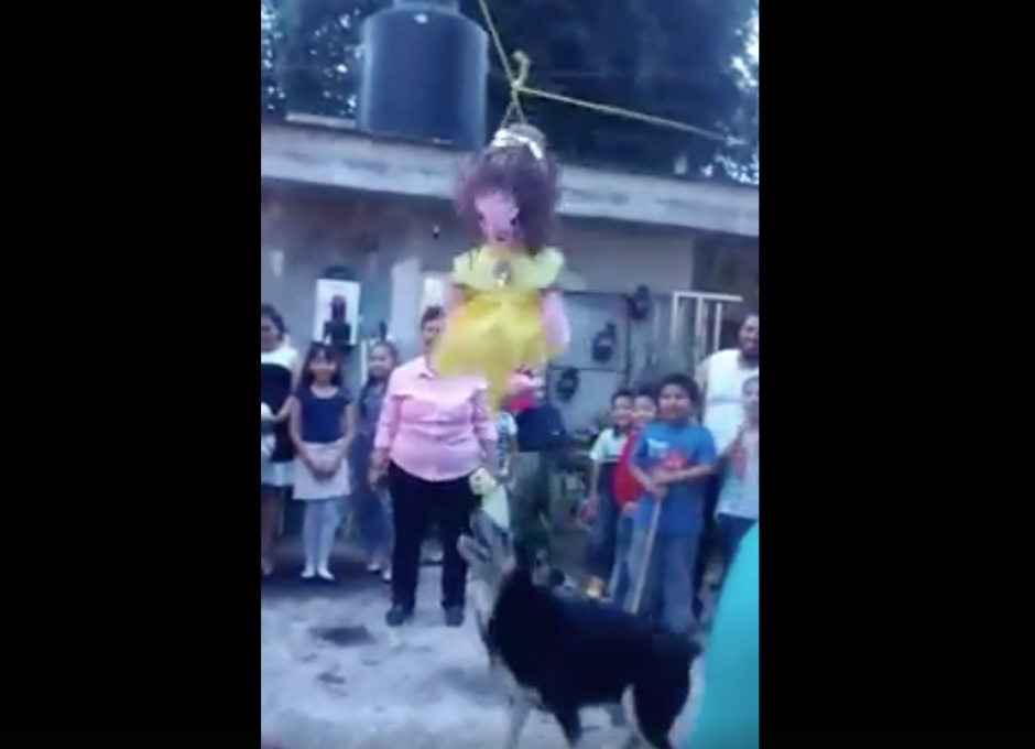 Zully fue feliz quebrando la piñata. 