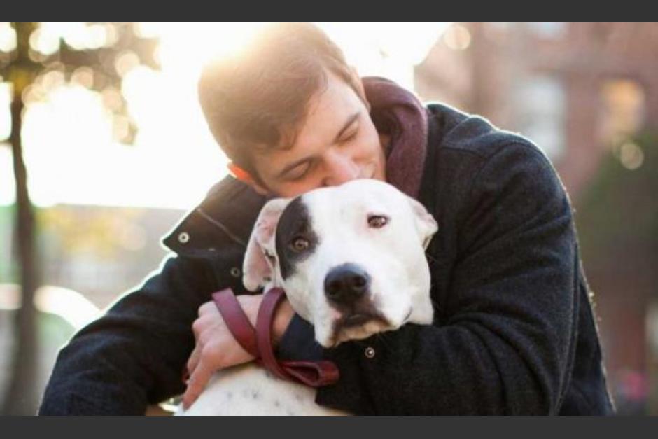 En estas diez situaciones, el abrazo de un perro te hará sentir mejor. (Foto: wakyma.com)