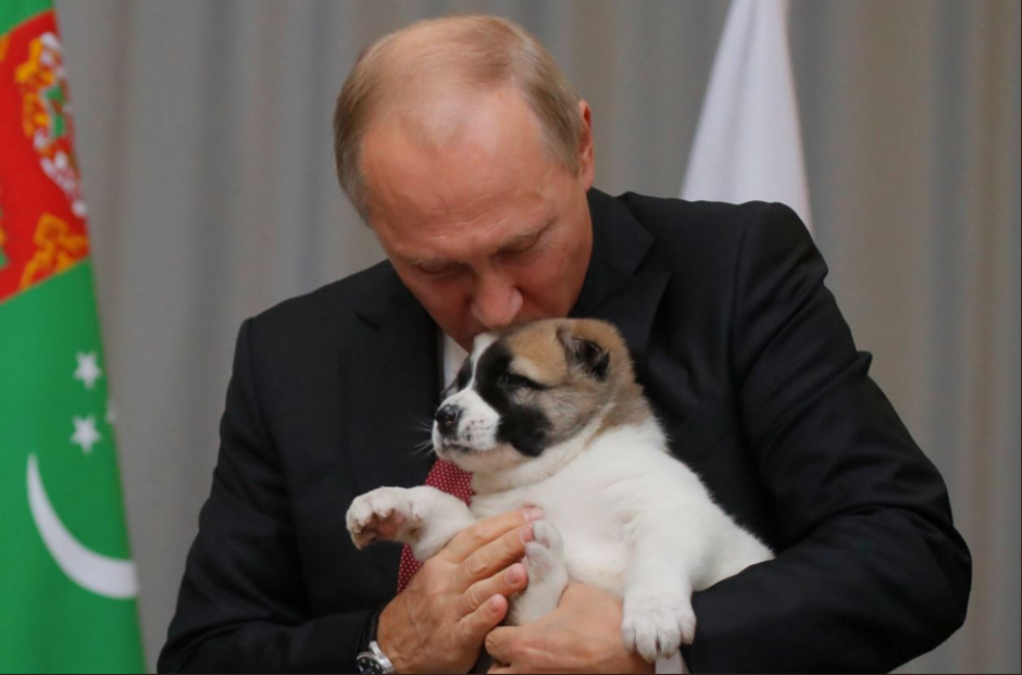 La reacción del presidente ruso al recibir a “Verny”, el cachorro, fue inmediata. (Foto: Infobae) 