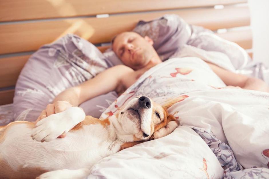 Cómo afecta a tu sueño dormir con tu perro. (Foto: Animales UnComo)