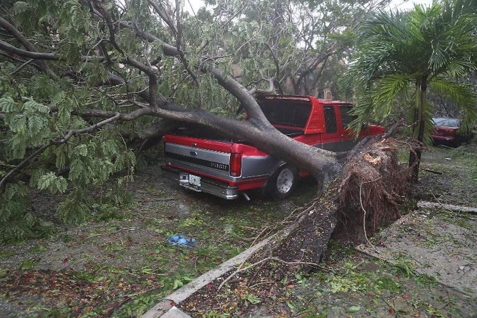 Las ráfagas de viento causadas por el huracán, han provocado la caída de varios árboles en Florida. (Foto: AFP)