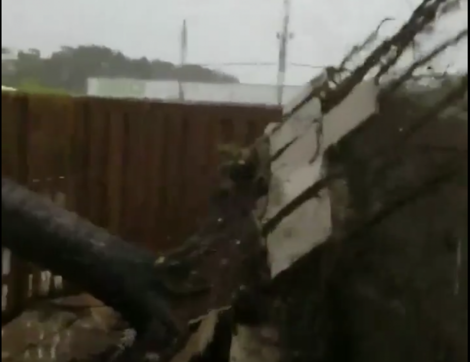 Así quedó el árbol tras ser arrastrado. (Foto: YouTube)