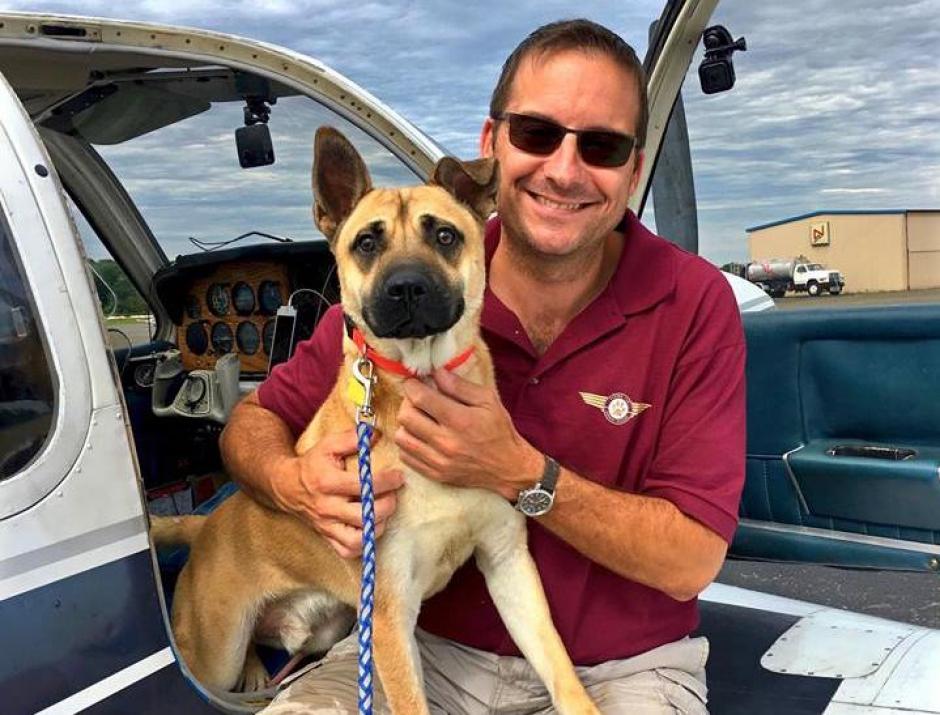Los canes reciben una nueva oportunidad de vida tras subirse al avión de este amante de los animales. (Foto: Flying fut Animals Rescue)