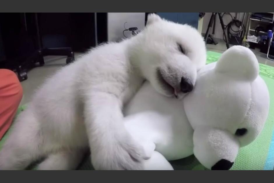 Nora abrazando el peluche que pensó era su madre. (Foto: Oregon Live)