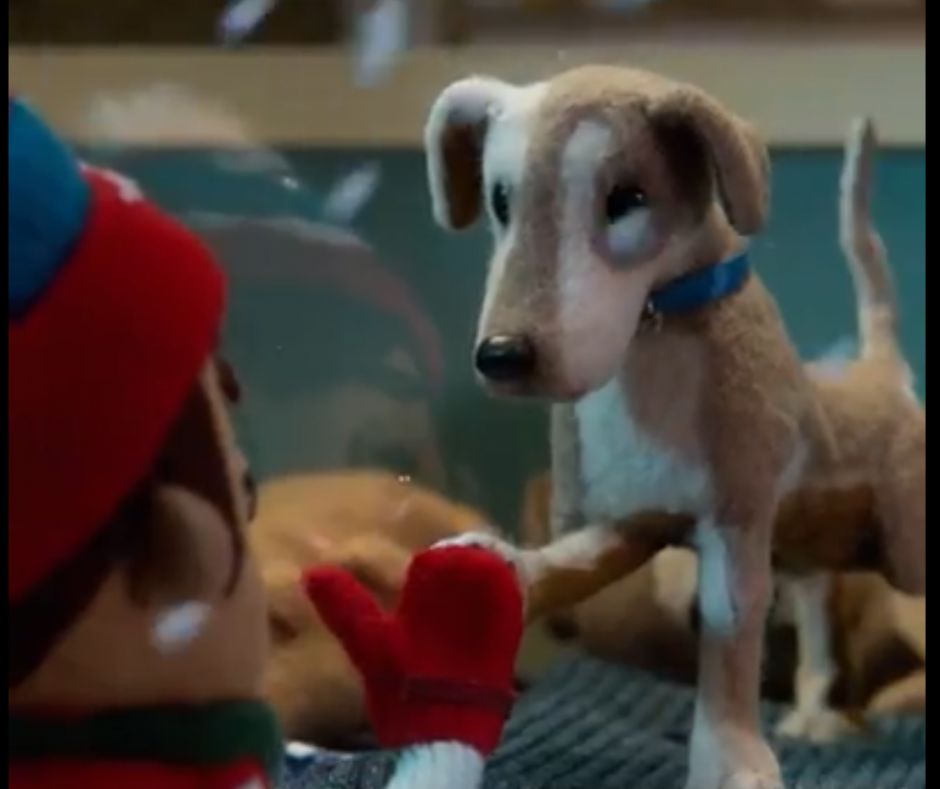 El video ha llevado a miles de personas a las lágrimas. (Foto: video)