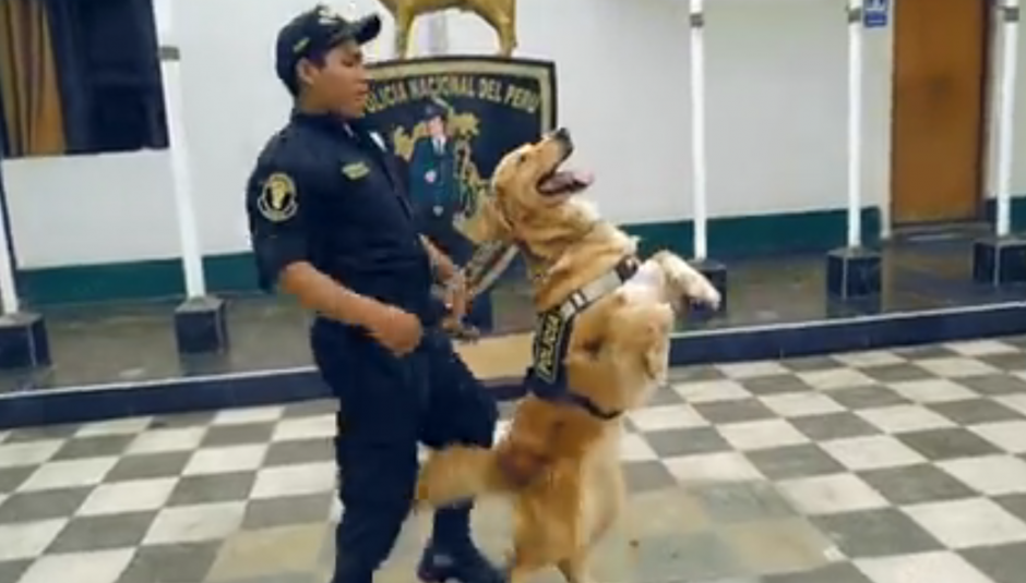 La Policía de Perú realizó el reto por esta noble causa. (Foto: captura de pantalla) 