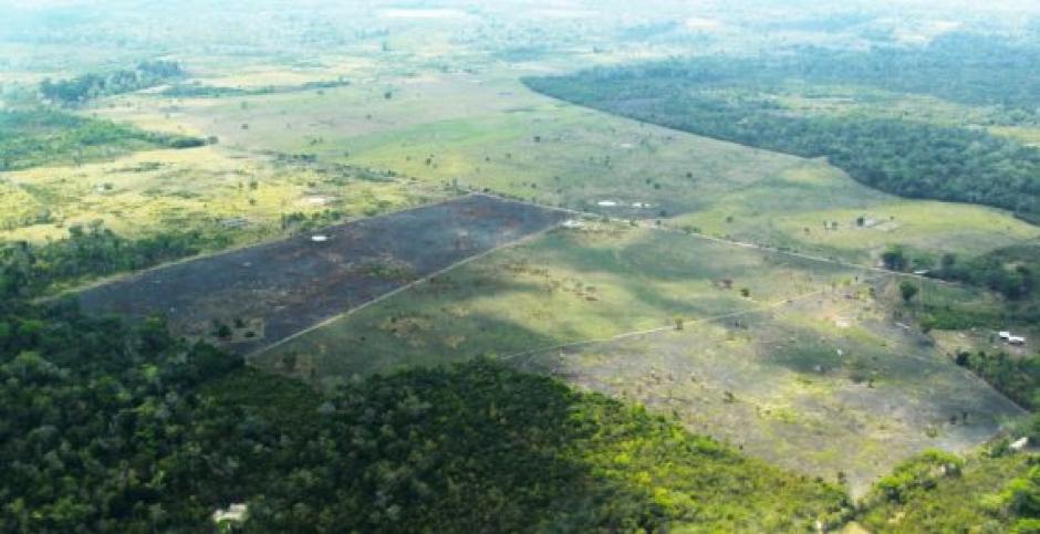La Fiscalía de Delitos Contra el Ambiente sufrió una emboscada mientras buscaba recuperar el área que se observa en la imagen. (Foto: MP)
