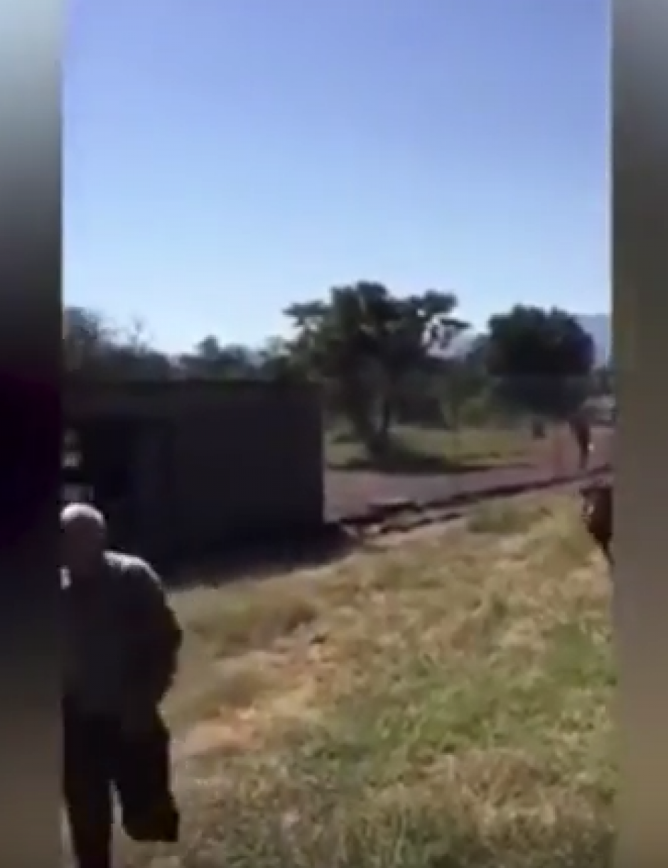 El hombre huye de el león pero no lo logra. (Foto: captura de pantalla) 