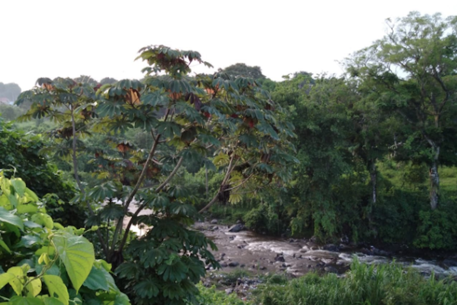 El pequeño fue arrastrado por el río Cristóbal en Santa Lucía Cotzumalguapa, Escuintla. (Foto: CONRED)