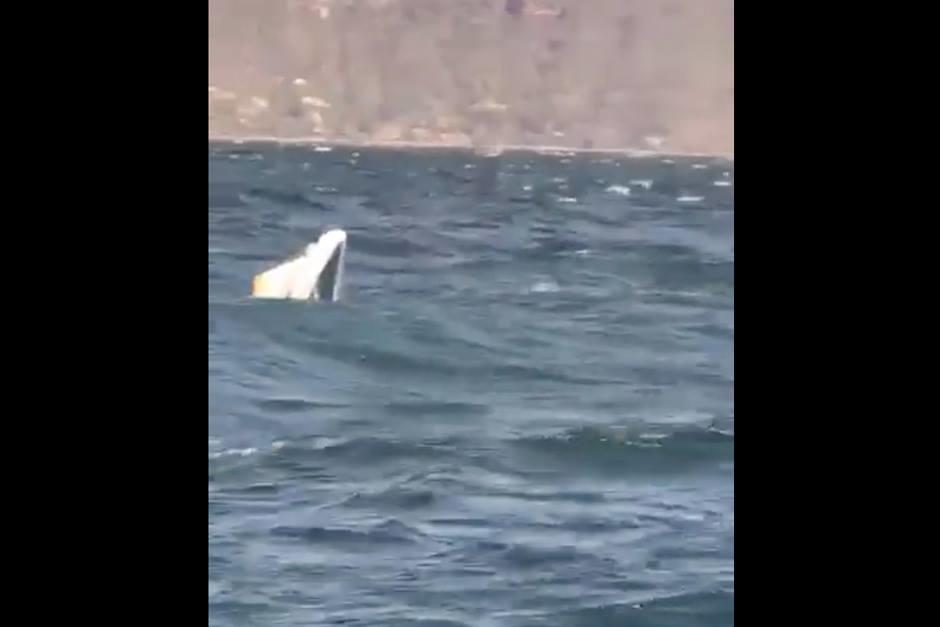 Un video muestra los momentos de tensión que vivieron ocupantes de la lancha. (Foto: captura pantalla) 