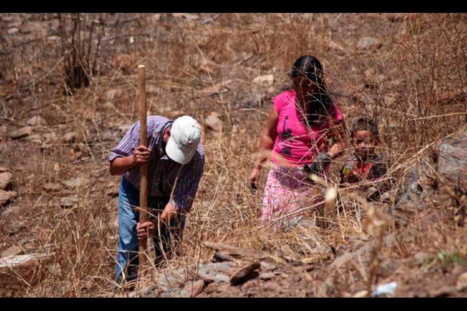 El 2018 ya se ganó el cuarto puesto como el año más caluroso. (Foto: La Tribuna)