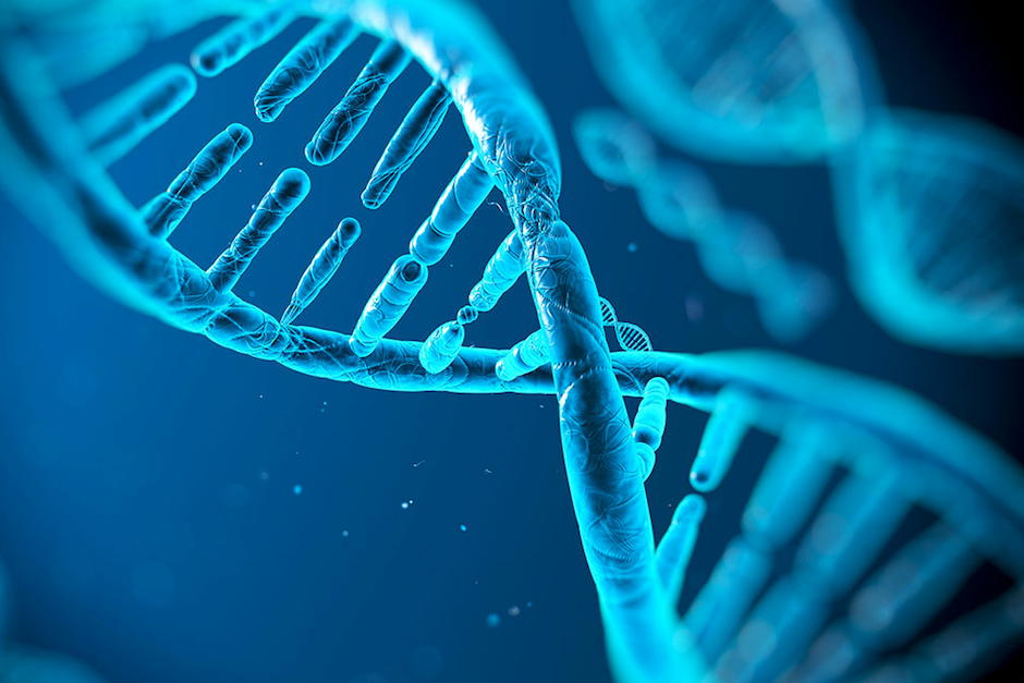 Las condiciones climáticas extraordinarias han generado mutaciones en algunos humanos. (Foto: NMMedical)