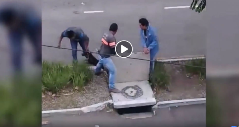 Tres hombre trabajaron duro para rescatar a un perro atrapado dentro de un tragante en la zona 11 de la ciudad de Guatemala. (Foto: Captura de video)