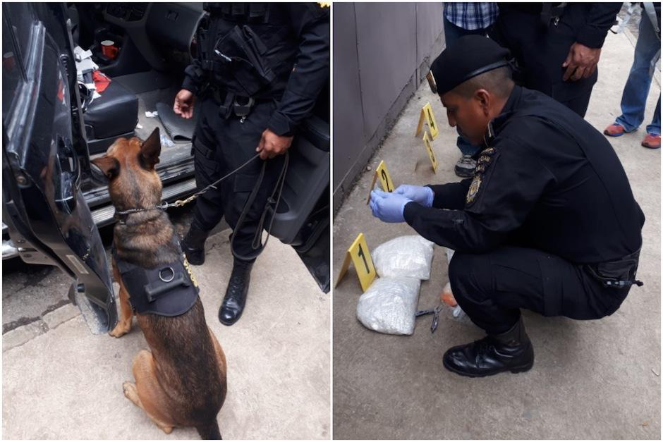 El operativo en el que participó el perro canino fue en la zona 14. (Foto: PNC)