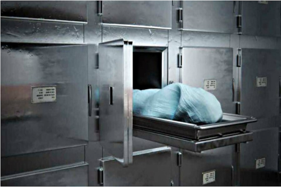 El insólito incidente tuvo lugar en una ciudad de Polonia. (Foto: Proyectopuente.com)