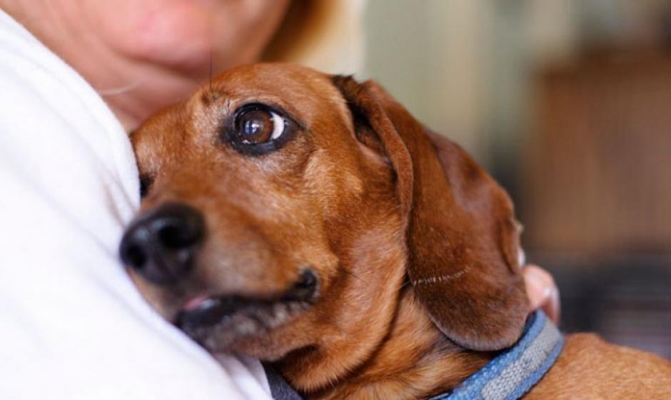 Es importante identificar y conocer los signos del envejecimiento. (Foto: archivo)