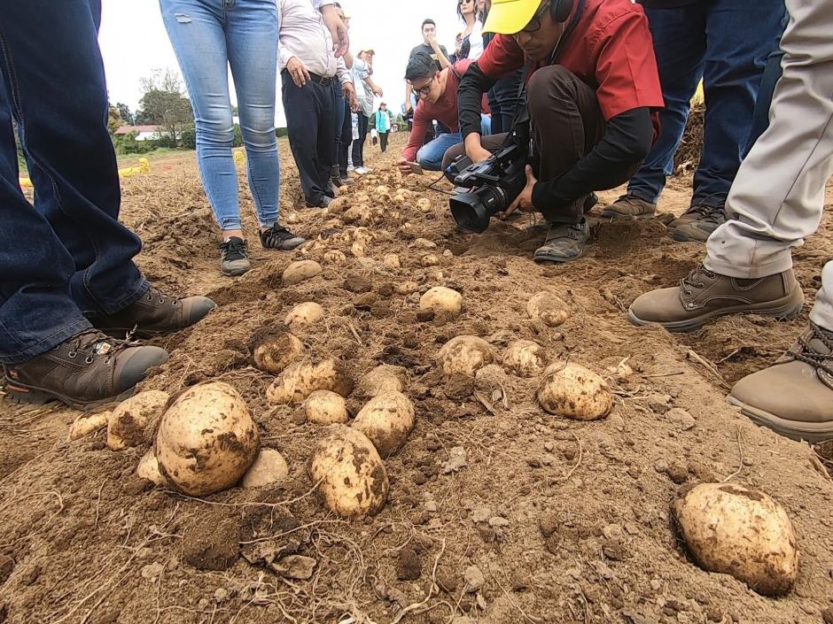 La reconocida marca a nivel global compartió la conexión con su origen y las raíces de Guatemala. (Foto: cortesía)
