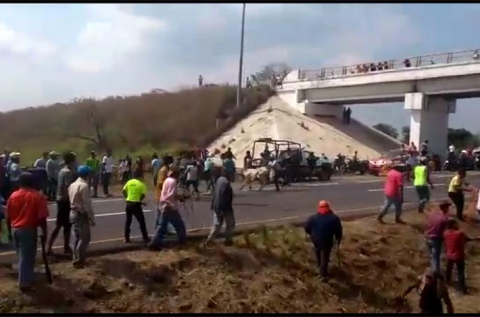 En lugar de apoyar al conductor del camión, los pobladores sustrajeron a los animales. (Captura Video)