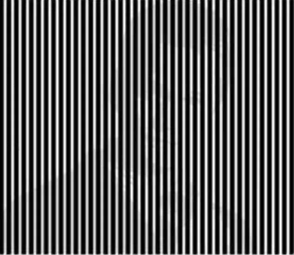 Ojo, que este es un reto de bono. En efecto esconde una imagen, el reto viral lo encuentras abajo. (Foto: EcoDiario)