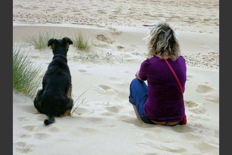 El tamaño del perro podría deteminar su inteligencia. (Foto: Pixabay) 