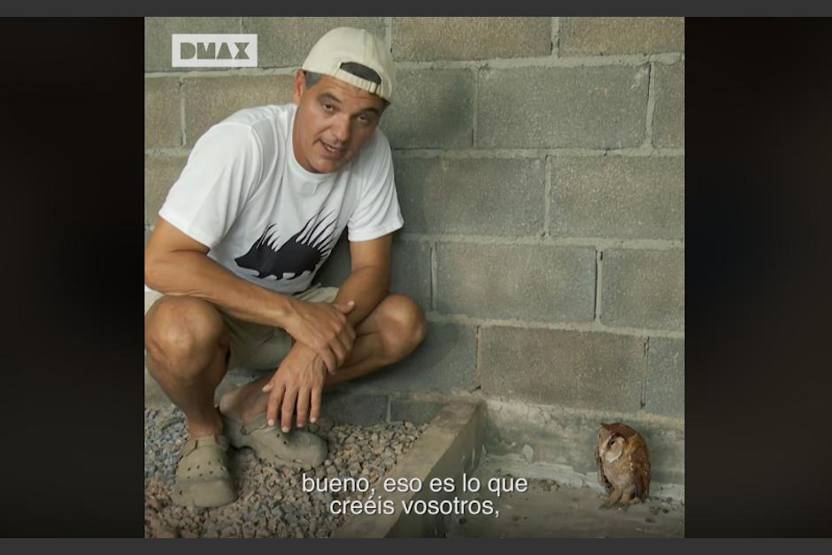 El animal además de estar afectado de la vista, tiene las alas cortadas. Foto: Captura de pantalla Facebook