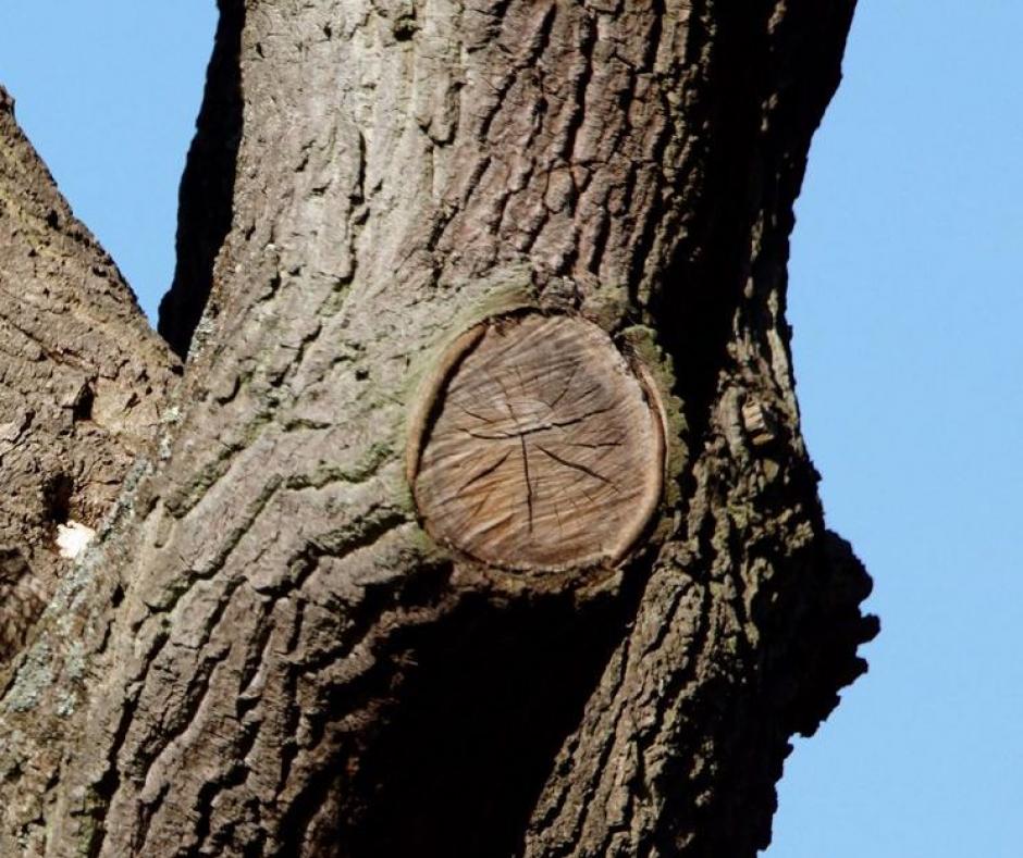 El cartero no pensó que su foto fuera a convertirse en una tendencia en redes sociales. (Foto: Paul Beech)