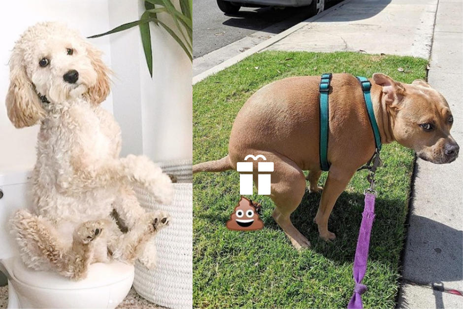 ¿Ya lo notaste? siempre nos ven con "esa carita especial", mira por qué. (Foto: Instagram)