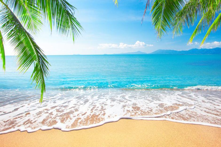 ¿Eres artista? descúbrelo al ver la imagen (Imagen ilustrativa: About Regional)