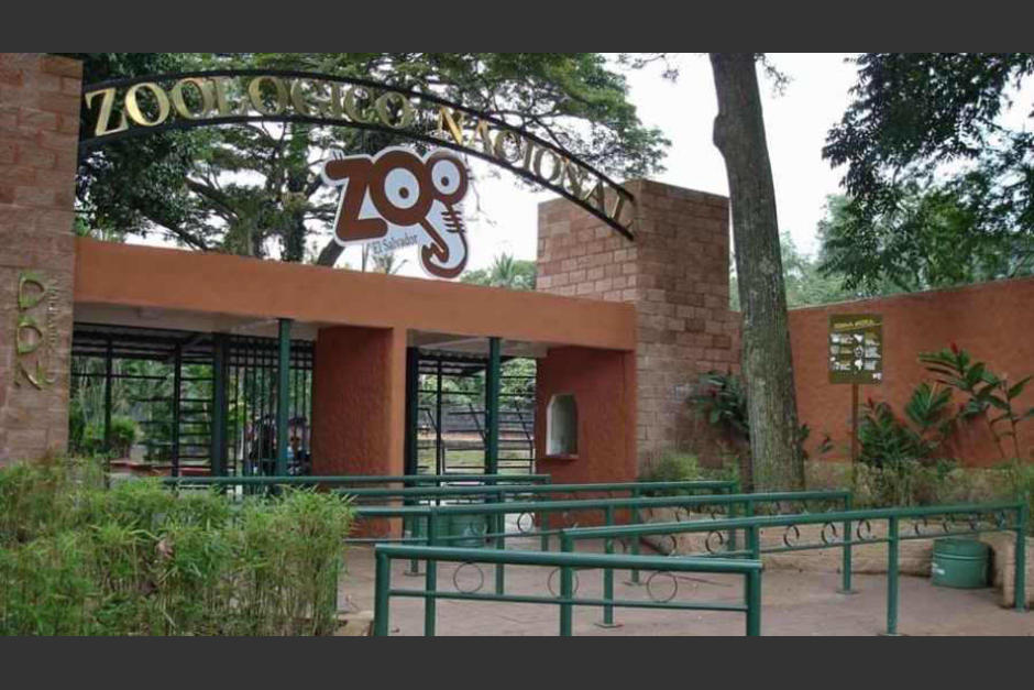 Las autoridades de Cultura estiman que el sitio puede convertirse en una parque ecoturístico. (Foto: El Diario de Hoy)