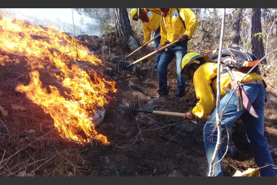 Más de 400 incendios han ocurrido a la fecha. (Foto:CONRED)