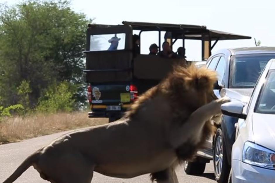El momento del ataque quedó grabado en video (Foto: laopinion)
