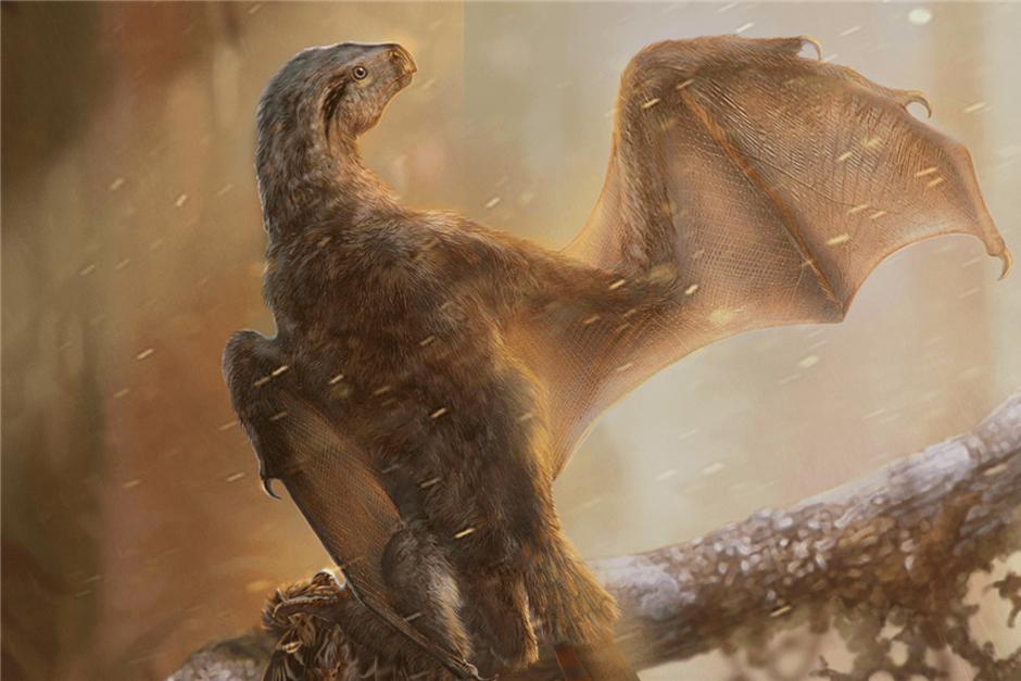 Los paleontólogos descubrieron en china una nueva especie de dinosaurio tras varios años de analizar un extraño fósil. (Foto: National Geographic)