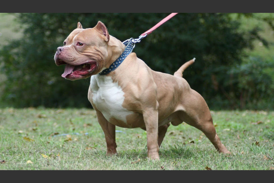 Los bomberos Municipales atienden la emergencia y trasladan a la víctima a un centro asistencial. (Foto: La Perdiz Roja)