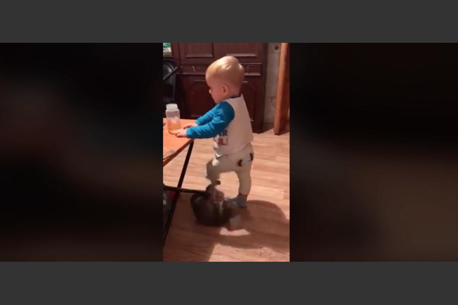 El video tiene más de un millón de visitas gracias a la ternura de la pelea entre un bebé y un pequeño gato. (Foto: captura de pantalla).