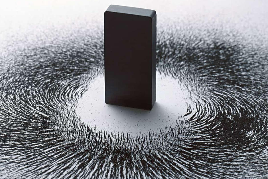 La familia guardó la calma y buscó una solución que se viraliza en redes (Imagen de referencia: Curiosoando)