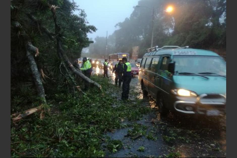 Las lluvias de las últimas horas han provocado árboles caídos y accidentes. (Foto: Tránsito Mixco) 