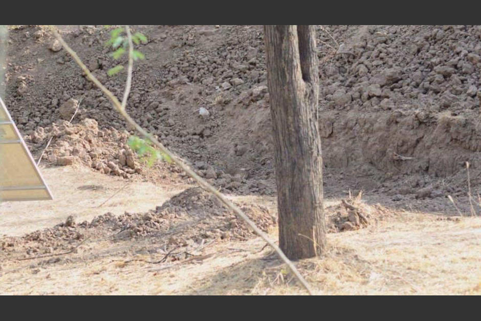 No te daremos pistas, pero si no lo encuentras, mira al final de la nota. (Foto Twitter)